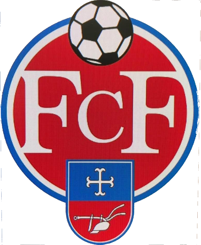 Fussballclub Froideville
